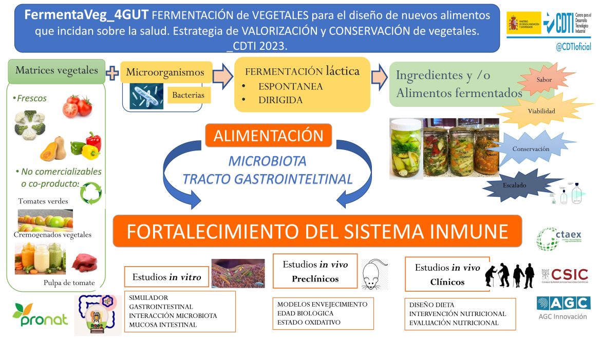 FERMENTAVeg_4Gut busca desarrollar nuevos productos alimentarios de origen vegetal con el fin de promover mayores beneficios para la salud en la microbiota intestinal